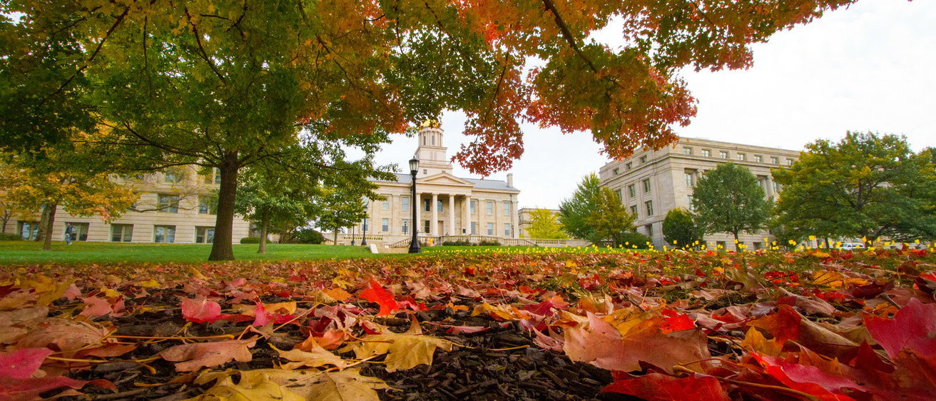 The Old Capitol building peering through the colorful Autumn trees.